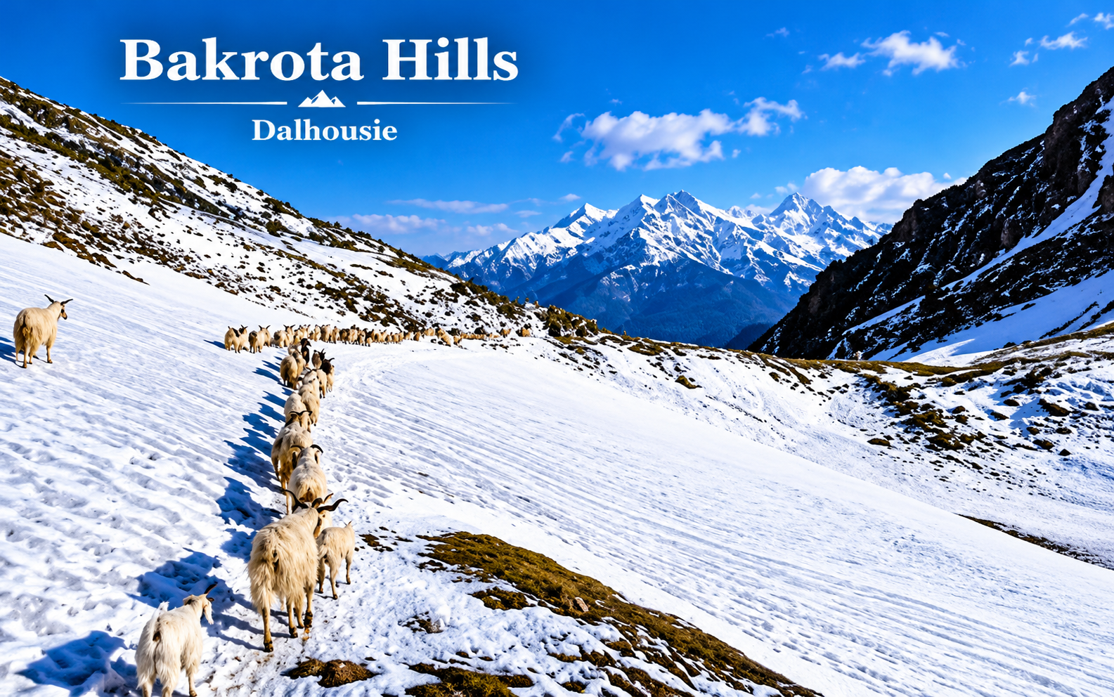 Bakrota Hills