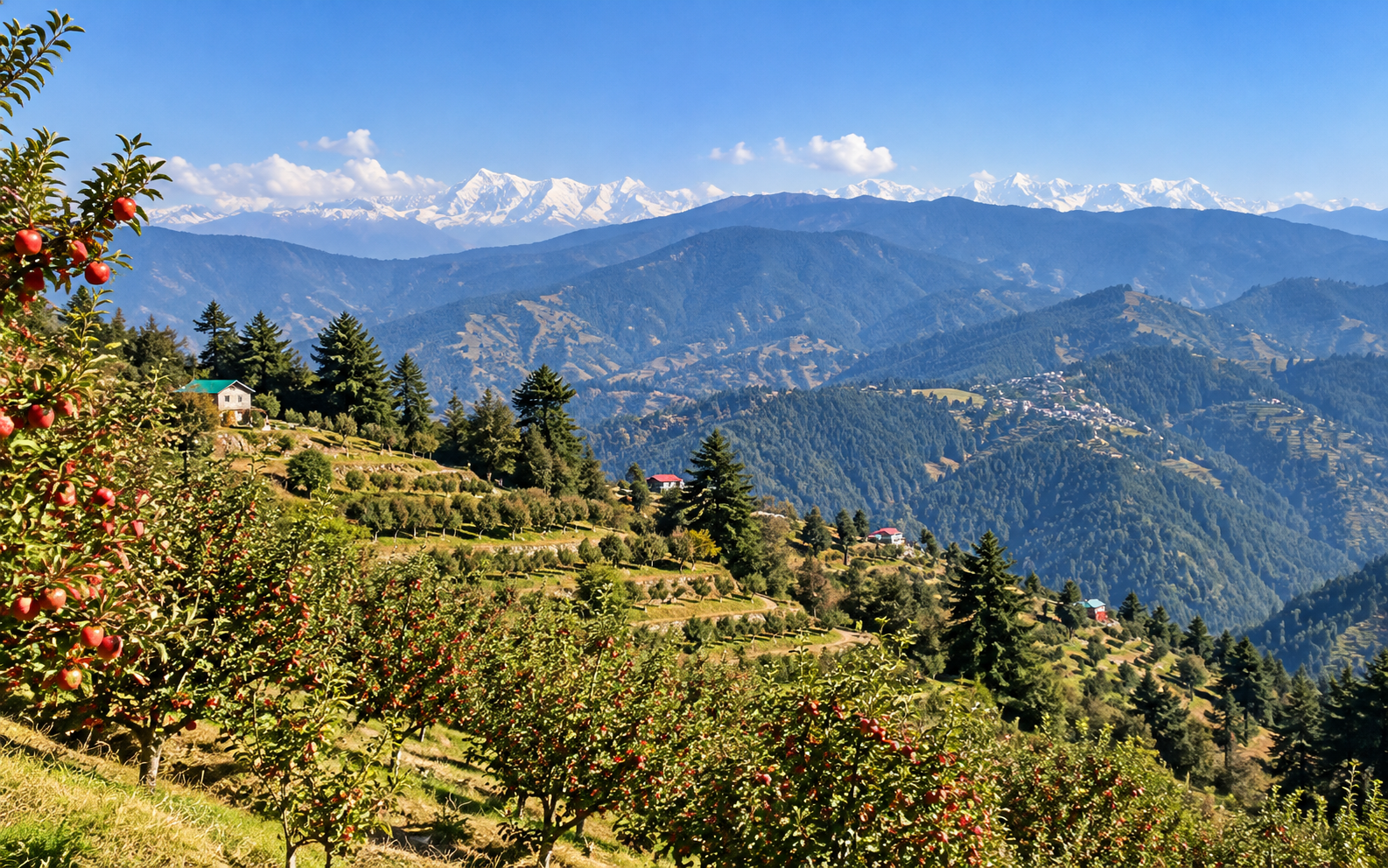Fagu Village & Orchard Landscape